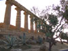 Tempio di Era con Piante Mediterranei