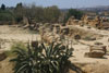 rovine  del Tempio di Castore e Polluce