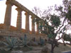 Tempio di Era con Piante Mediterranei