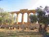 Colonne del Tempio di Era