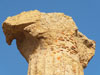 Crepidoma