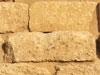 Crepidoma