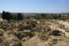 rovine 