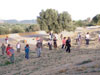 Gruppo di Turisti