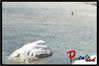 scala dei turchi